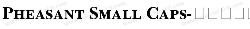 Pheasant Small Caps字体转换